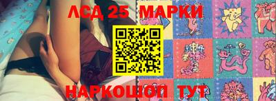 гидропоника Тула