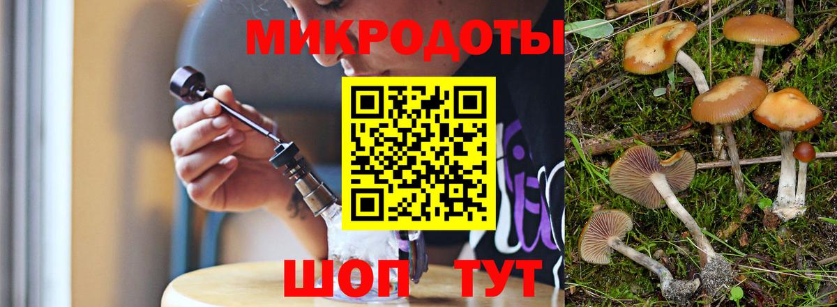 Галлюциногенные грибы Magic Shrooms Аргун